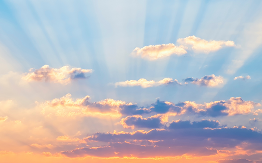 A Look Behind the Scenes: The Creation of QAIA Products