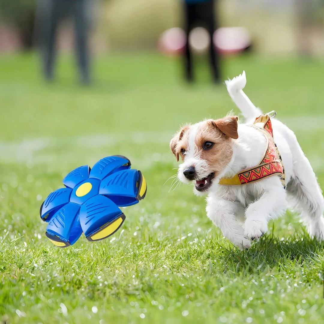 PawPlay - Speelbal DiscBall